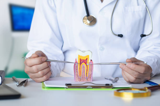 Best Emergency Treatment for Dental Infections or Abscesses in Yale, OK